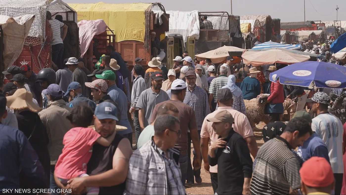 المغرب.. إقبال واسع على أسواق المواشي لاقتناء أضاحي العيد 