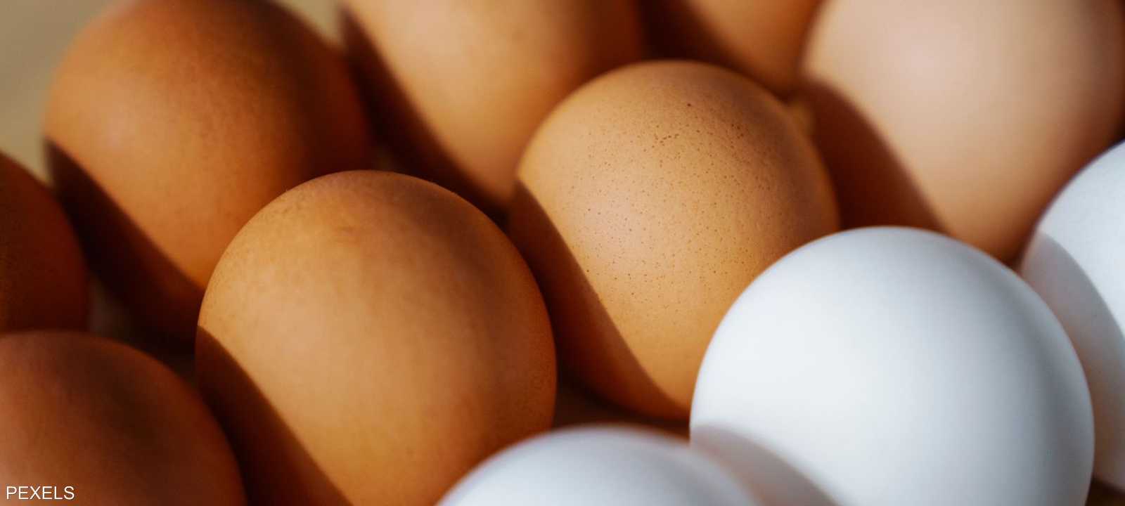 البيض الأبيض أم البني؟ خبراء يفندون الخرافة