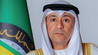 البديوي يدين الحملات الإعلامية المضللة ضد الإمارات وقطر