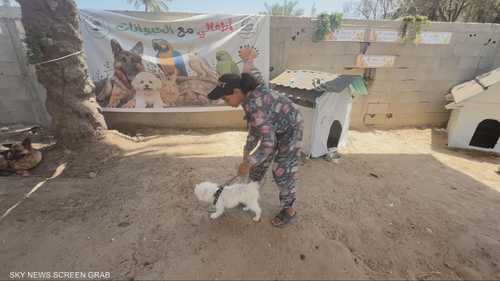 حيوانات في غزة لتقديم الدعم النفسي للأطفال المتضررين