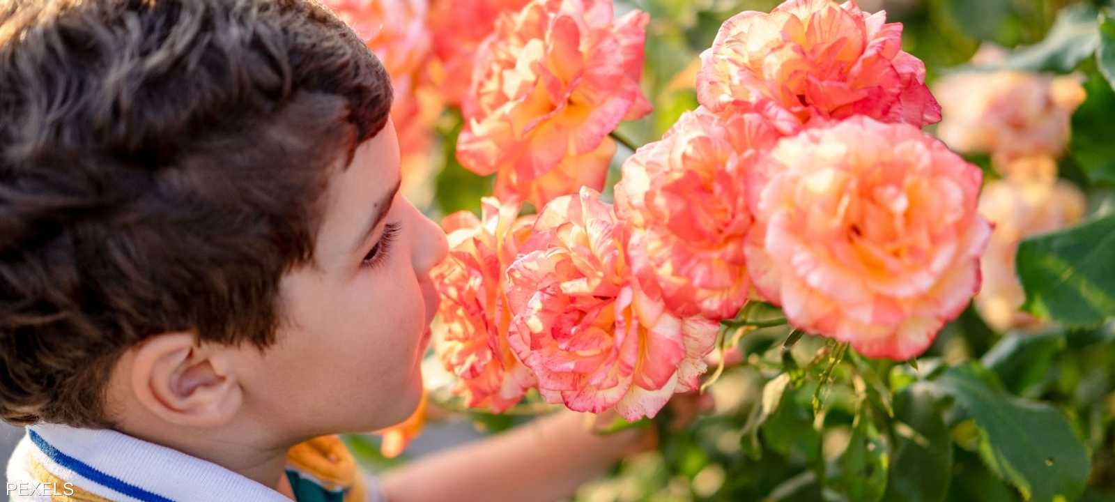 ويُعد فقدان حاسة الشم من أوائل العلامات الأمراض التنكسية