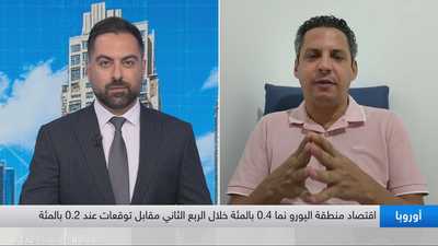 الاستاذ الباحث في الجامعات الفرنسية - حسان القبي