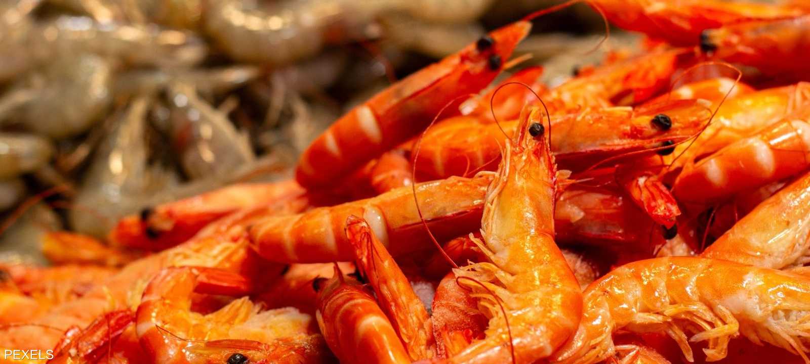 ينتمي الروبيان الى صنف المأكولات البحرية منخفضة السعرات