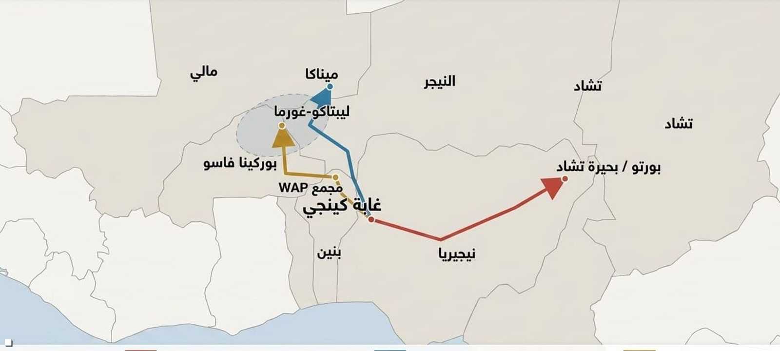 تقع الغابة عند نقطة التقاء وتوفر للمسلحين مخابئ
