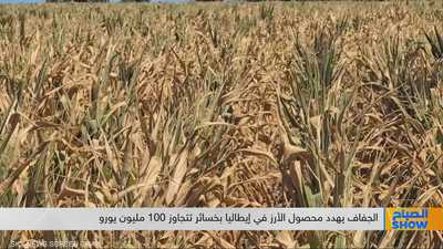 الجفاف يهدد محصول الأرز في إيطاليا