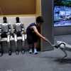 شركة "يونيتري روبوتيكس" (Unitree Robotics) الصينية
