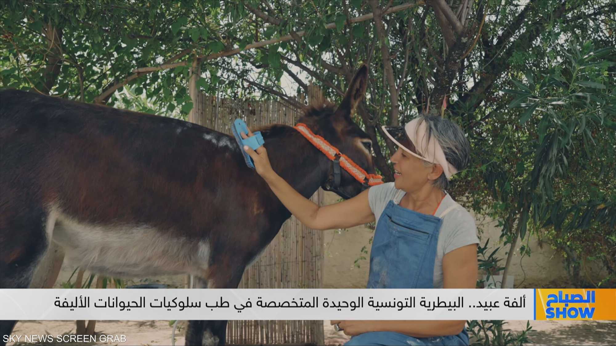 ألفة عبيد.. البيطرية التونسية المتخصصة بطب سلوكيات الحيوانات