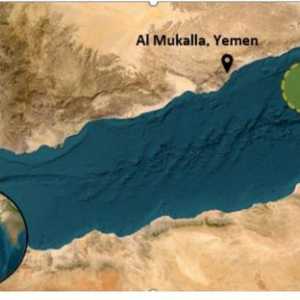 مصير 20 من أفراد الطاقم ظل غير واضح
