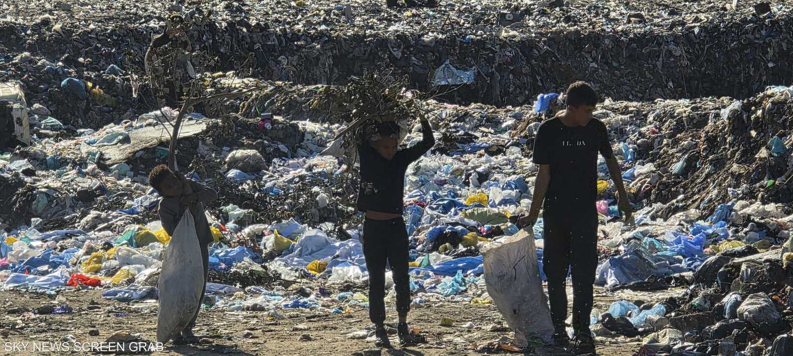 أطفال يحتطبون في مناطق قرب "الخط الأصفر"
