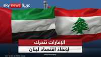 وفد اقتصادي إماراتي كبير في بيروت
