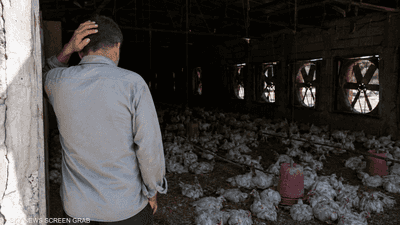 أزمة كهرباء الأحواز.. مربي دواجن يحاول إحراق نفسه