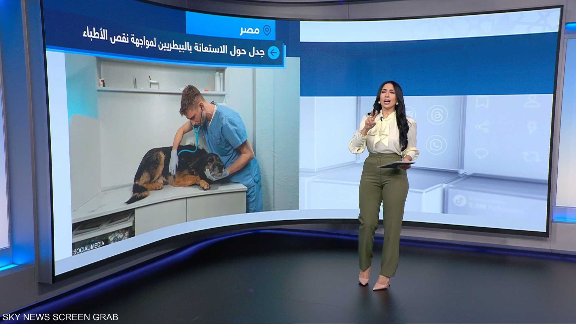 من الطب البيطري إلى البشري.. مقترح يثير الجدل في مصر