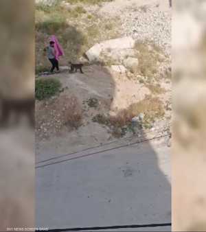 قرود طليقة تهاجم المارة وتحول سلقين إلى ترند