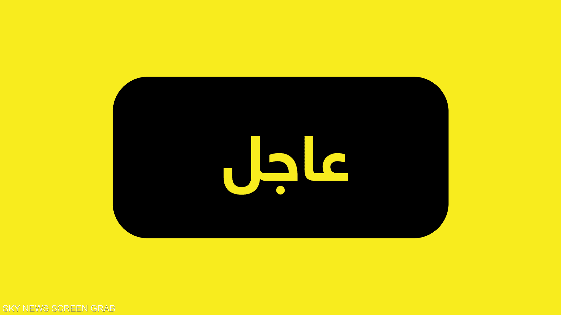 اكتشاف يفتح طريقا لحماية الدماغ.. هل يمكن كبح ألزهايمر؟ 