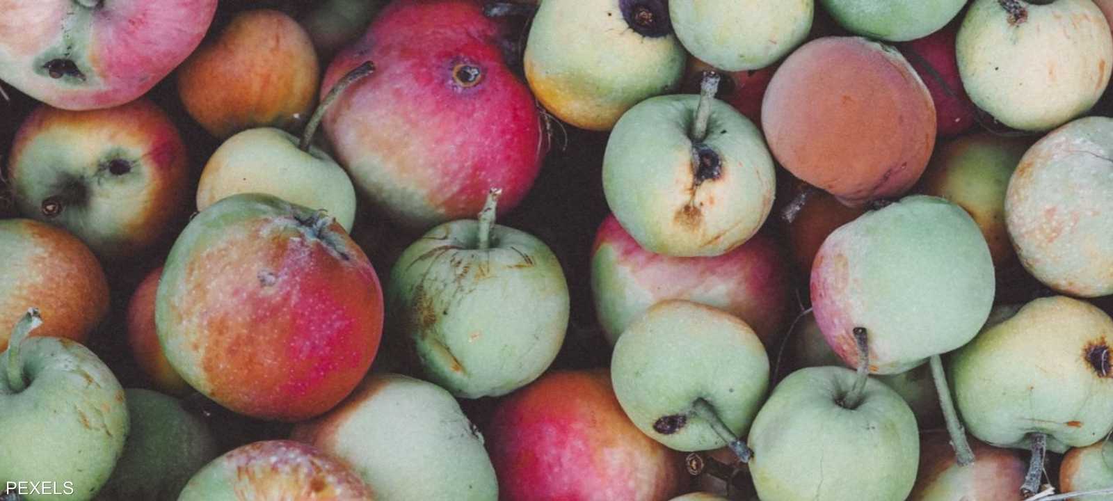 العفن يظهر على الفاكهة.. هل ترميها أم تقطعها؟