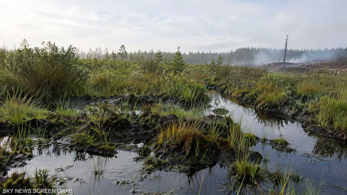 Les tourbières de Caroline du Nord : d'un réservoir de carbone à un combustible pour les feux souterrains