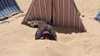 Buried in the sand in search of a cure. What's going on in Seoah
