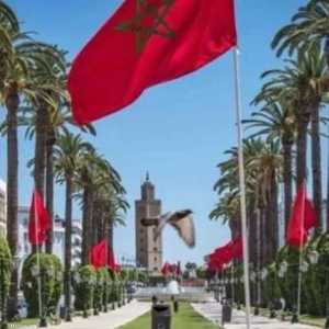 ترافق الانتخابات شبكة مراقبة واسعة