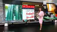 الجمعية العامة للأمم المتحدة.. ملفات تتجاوز الخطب