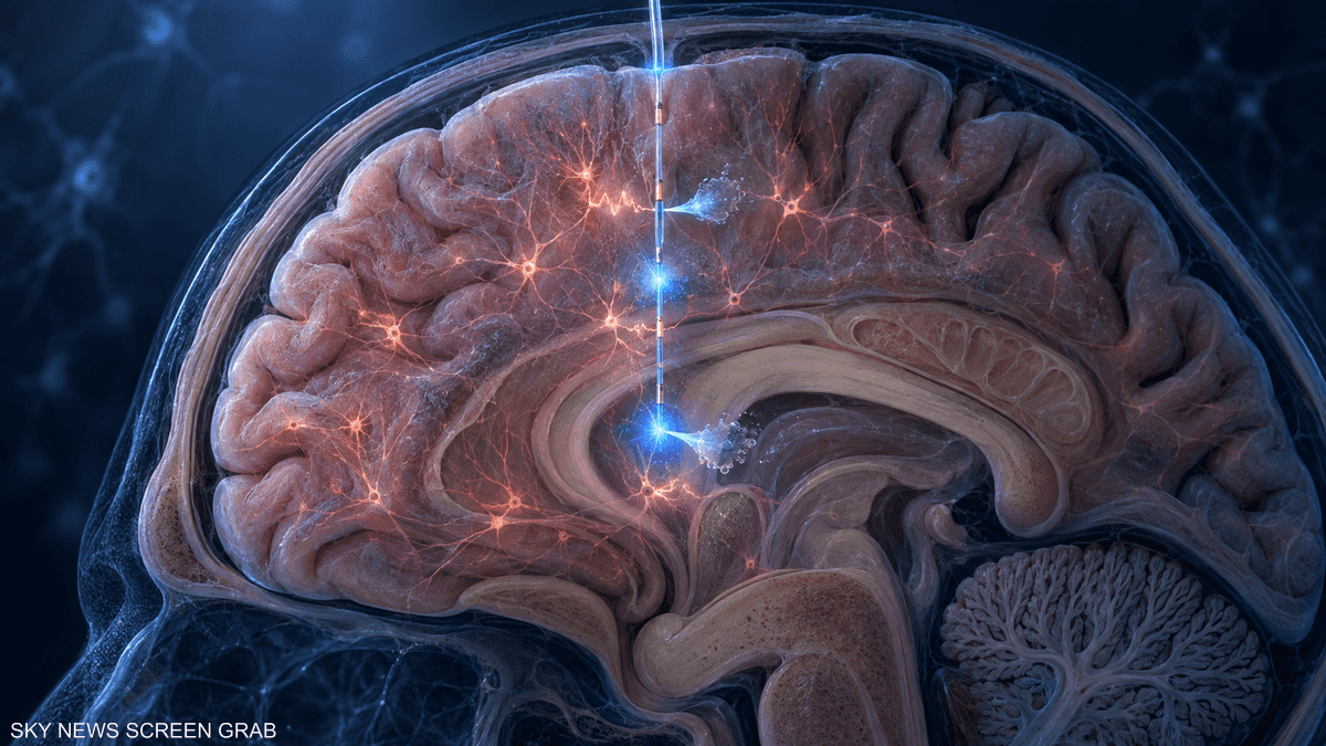 Scientists Develop Hair-Thin Fiber That Performs Three Functions Inside the Brain
