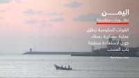 "فجر اليمن".. عملية عسكرية بمشاركة 100 طائرة مقاتلة