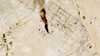 A kindergarten and a clinic complex, Saudi Arabia, reveals damage to sports