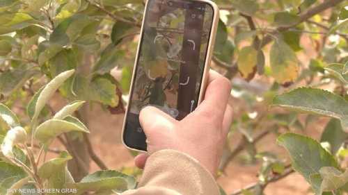 مزارعون أردنيون يوظفون تقنيات للذكاء الاصطناعي لتحسين الإنتا