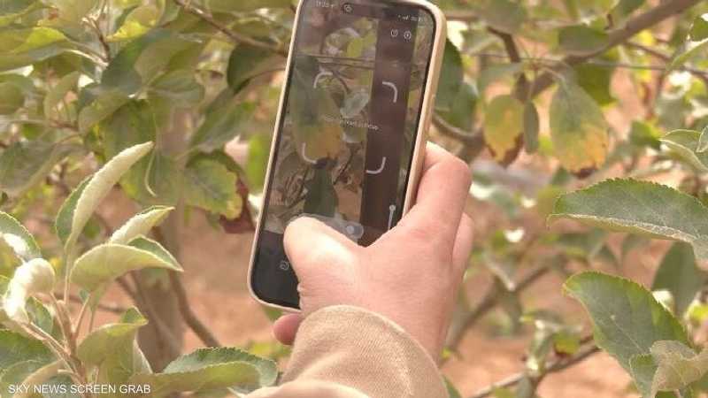مزارعون أردنيون يوظفون تقنيات للذكاء الاصطناعي لتحسين الإنتا