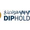 DIP هولدينغ