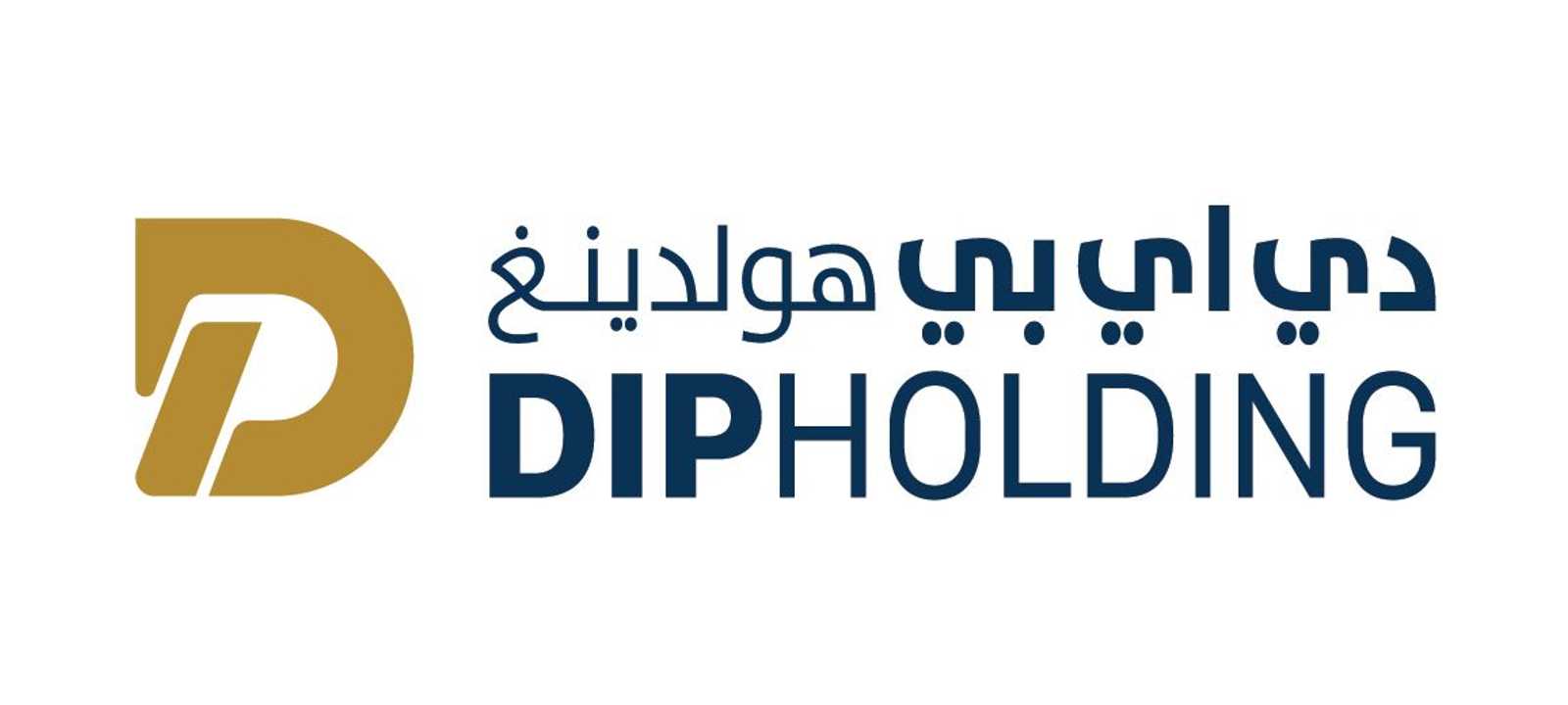 DIP هولدينغ