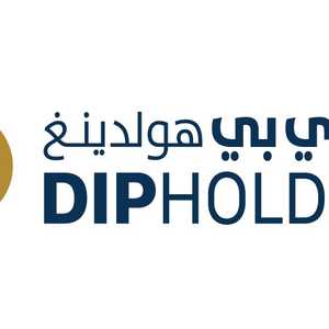 DIP هولدينغ