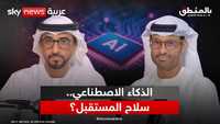 كيف تحمي الإمارات أمنها في عصر الحروب السيبرانية؟