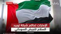 أحكام القضاء الإماراتي في قضية تسليح الجيش السوداني