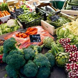 الأغذية الصحية تقي من السمنة