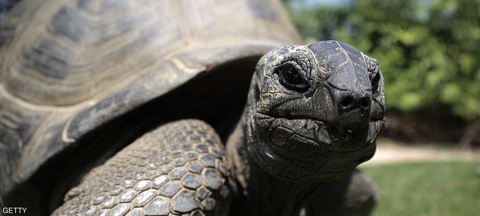 الوضع في غزة هو "الأسوأ" منذ اندلاع الحرب في 7 أكتوبر