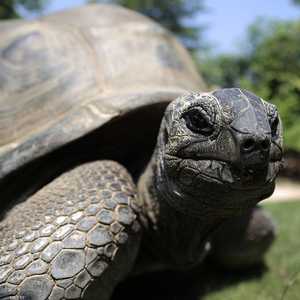 الوضع في غزة هو "الأسوأ" منذ اندلاع الحرب في 7 أكتوبر