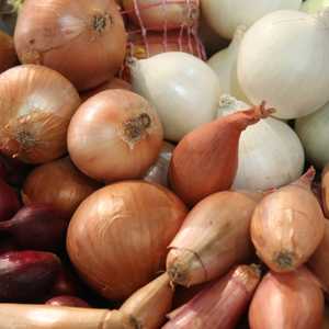 للبصل ألوان عدة فمنه الأبيض والذهبي والأحمر