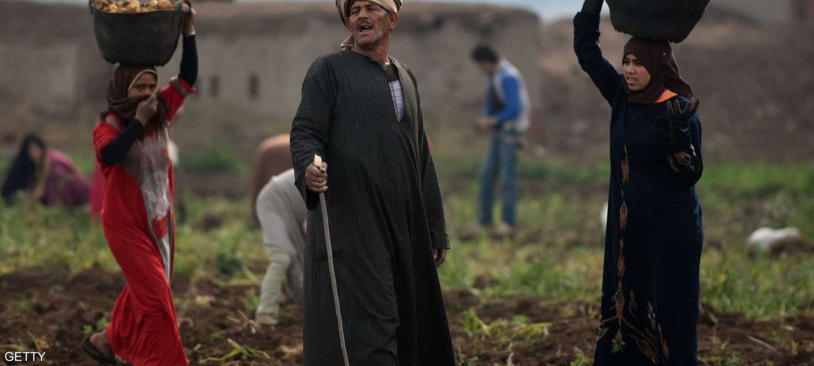 مصر أطلقت حملة ضخمة للتخلص من الوباء