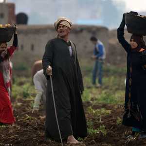 مصر أطلقت حملة ضخمة للتخلص من الوباء