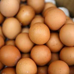 بدأ الرجل يأكل البيضة 42 عندما سقط مغشيا عليه ثم مات