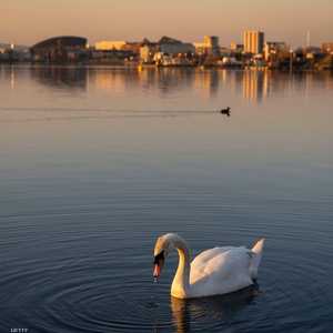 الطقس لن يساعد كثيرا بحسب الخبراء