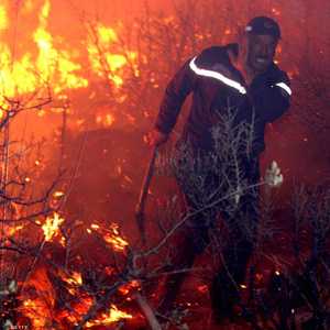 أرشيفية لحرائق في الجزائر
