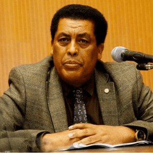 المتحدث باسم الخارجية الإييوبية دينا مفتي