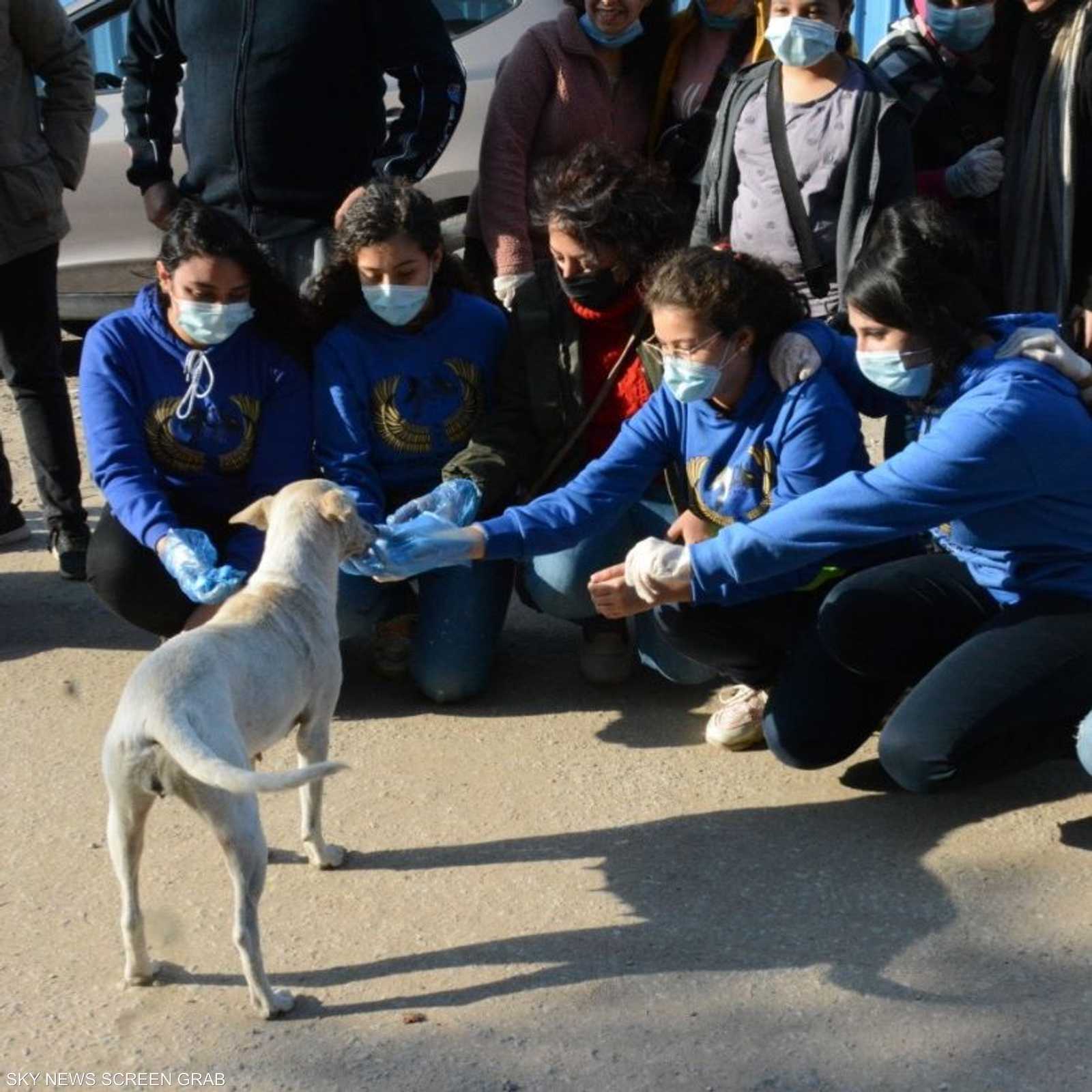 يقدمن الدعم النفسي إلى الكلاب بالإضافة إلى الطعام