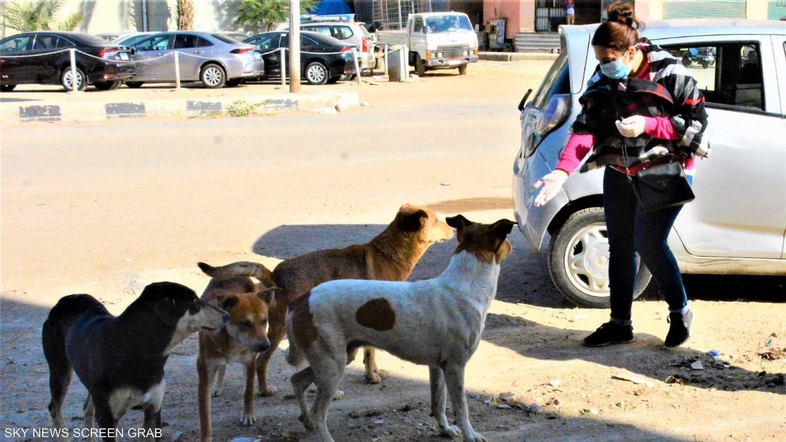 تعتمد ميار وأعضاء الفريق على جهودهن الذاتية