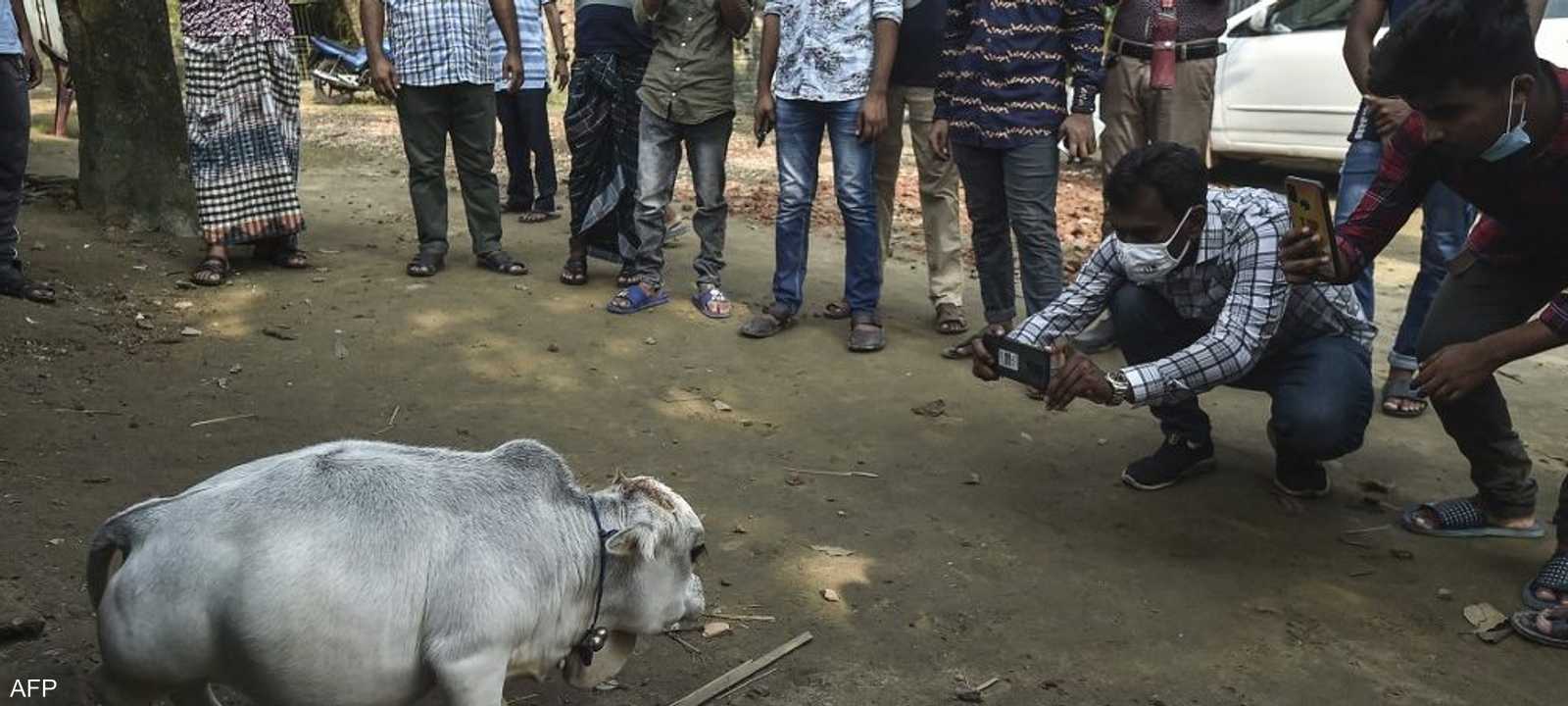 الآلاف حضروا لمشاهدة راني