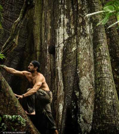 لا يشعر بول روسولي بالممل داخل غابات الامازون