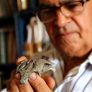 جزء من جمجمة التمساح بوركيسوكوس مالينجراندينسيز