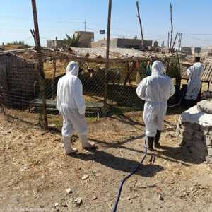 تم تشكيل فرق بيطرية متخصصة لرش بؤر المرض بالمواد المعقمة