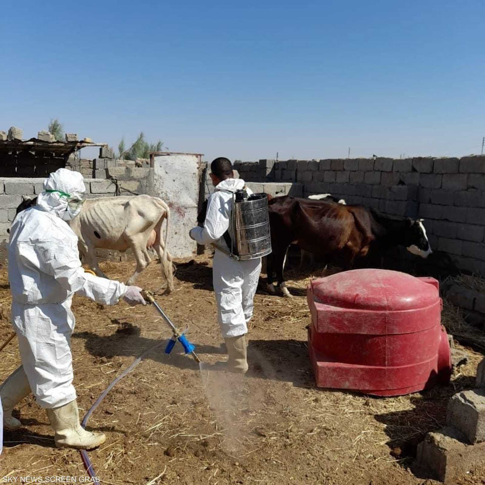 جولة سريعة داخل المدن والقرى تكشف مدى فداحة المشكل